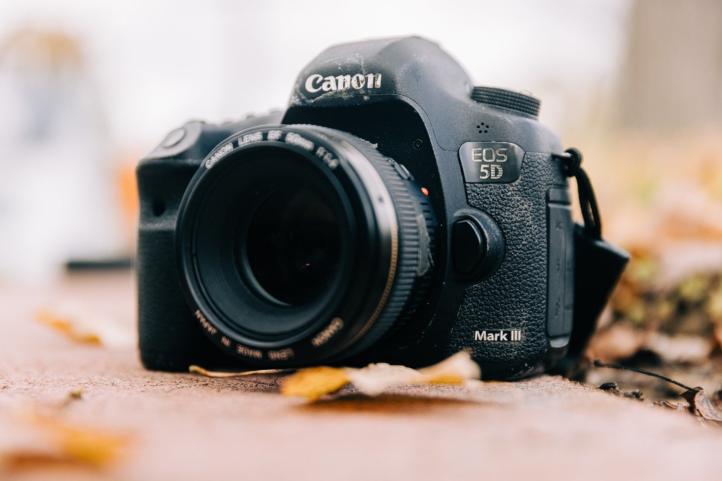 Old Canon 5D Mark III