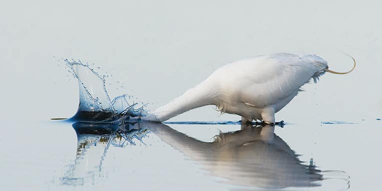 Traveling Photographer: Sanibel and Captiva