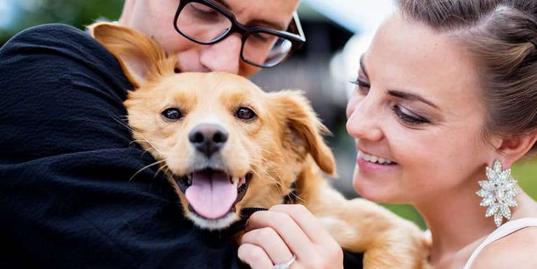 How-To: Include Pets In Wedding and Engagement Portraits