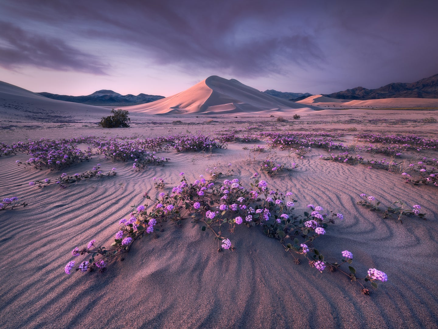 Death Valley National Park, 2018 (Photographed in 2017)