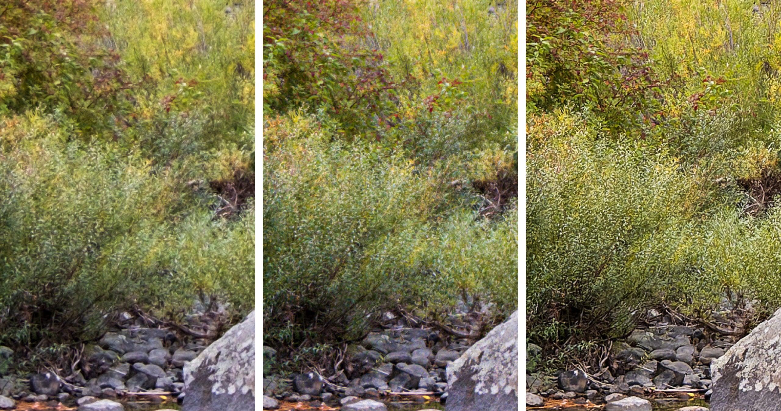 A photo of fall foliage with a pond in center, cropped to 200%.