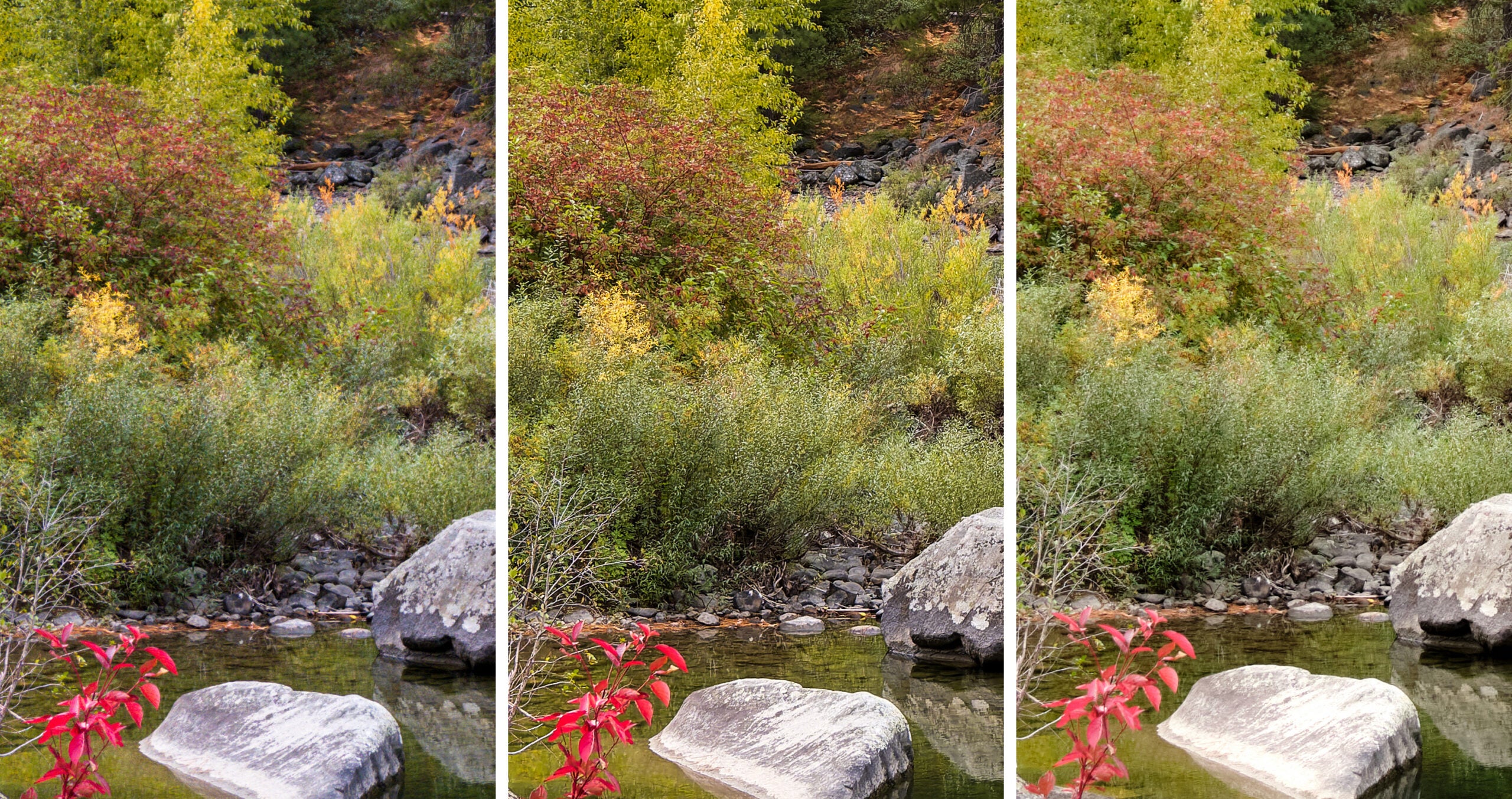 A photo of fall foliage with a pond in center, cropped to 100%.