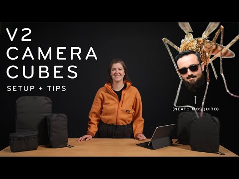 Camera Bags photo