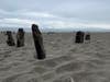 A sandy beach with wood pylons.