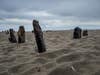 A sandy beach with wood pylons.