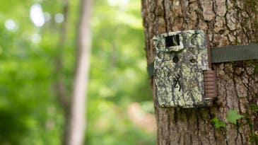 How to use a trail camera for hunting