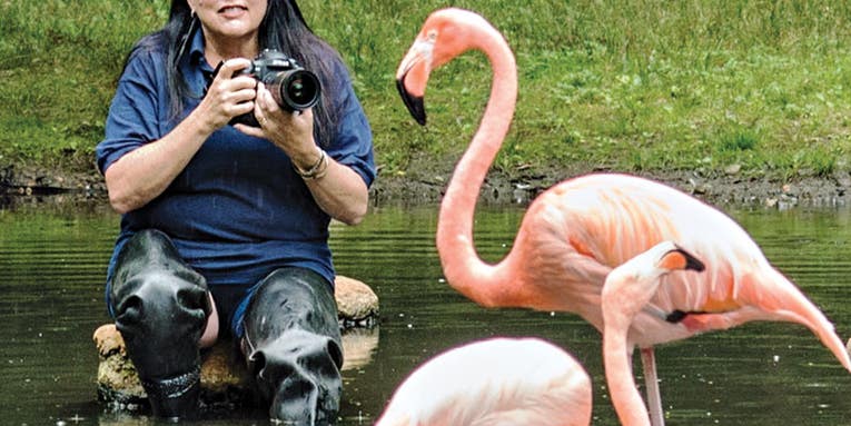 I, Photographer: Zoo Keeper