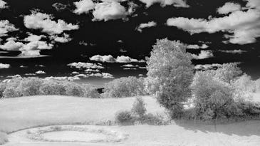 Software Workshop: Fake Infrared Photography Using Adobe Camera Raw